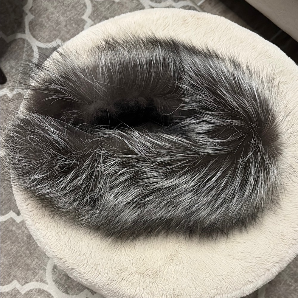 Luxurious Gray Fur Collar